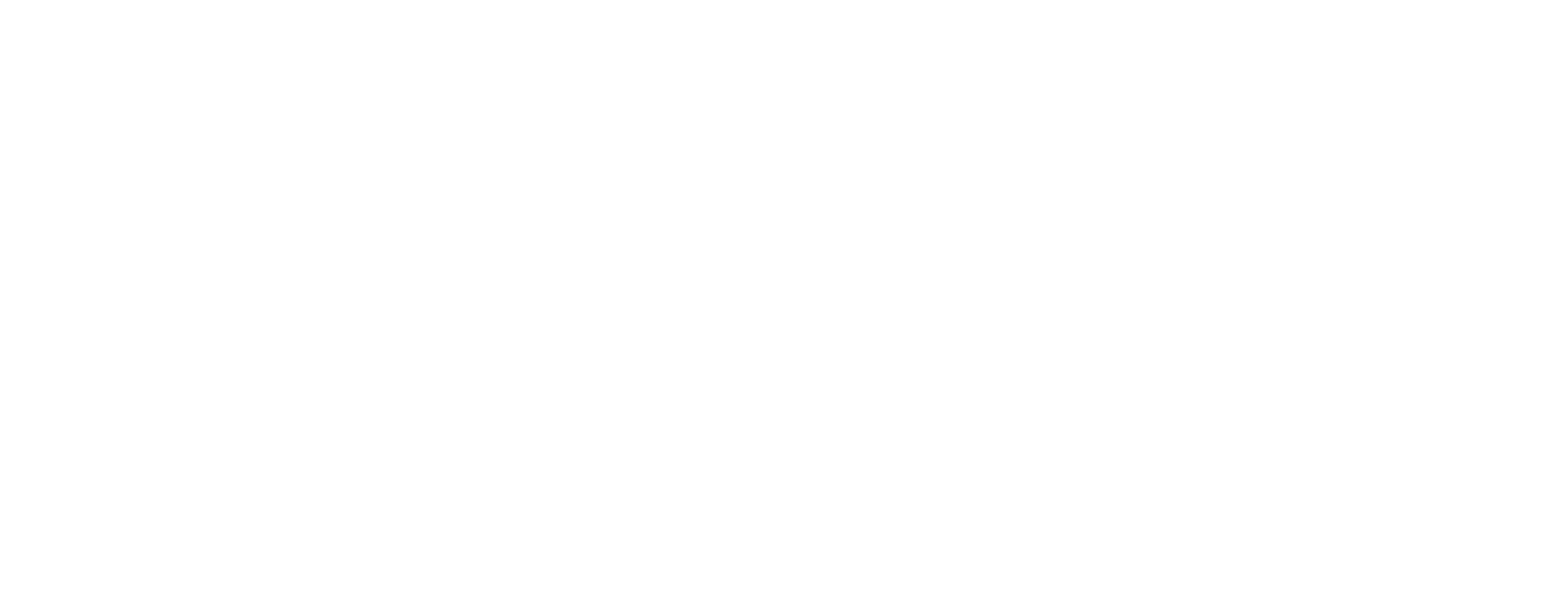 Fin Logo